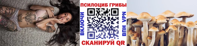 Галлюциногенные грибы GOLDEN TEACHER где найти Карачев